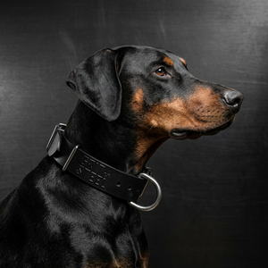 2 Inch Ever-Grit Collar