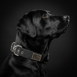 2 Inch Ultra-Grit Collar