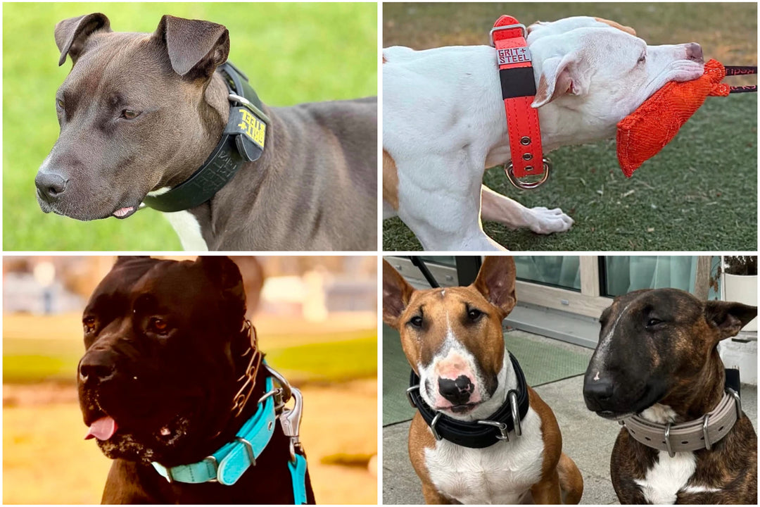 1.5 Inch Collars
