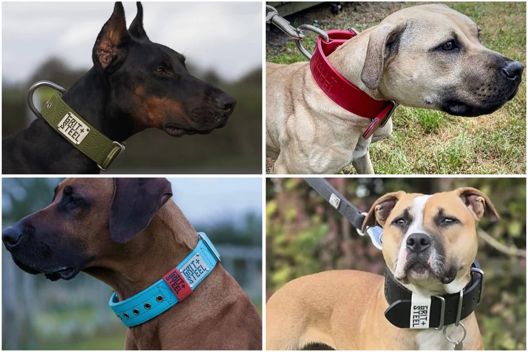 2 Inch Collars