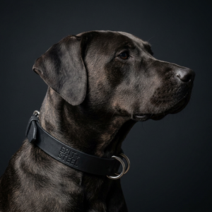 1.5 Inch Ever-Grit Collar