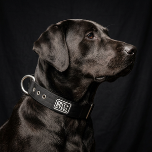 1.5 Inch Nypro Collar