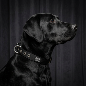 1 Inch Nypro Collar