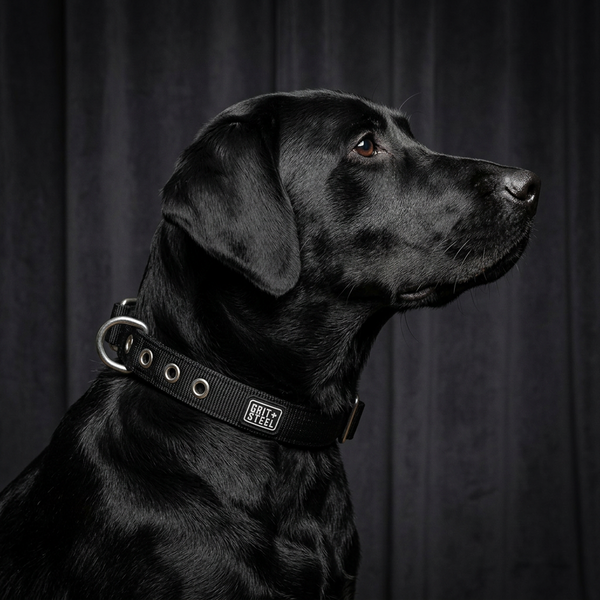 1 Inch Nypro Collar