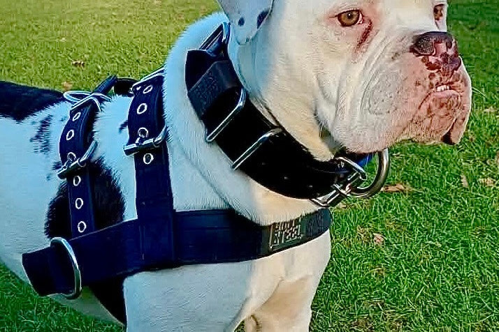 Ultra-Grit Harness