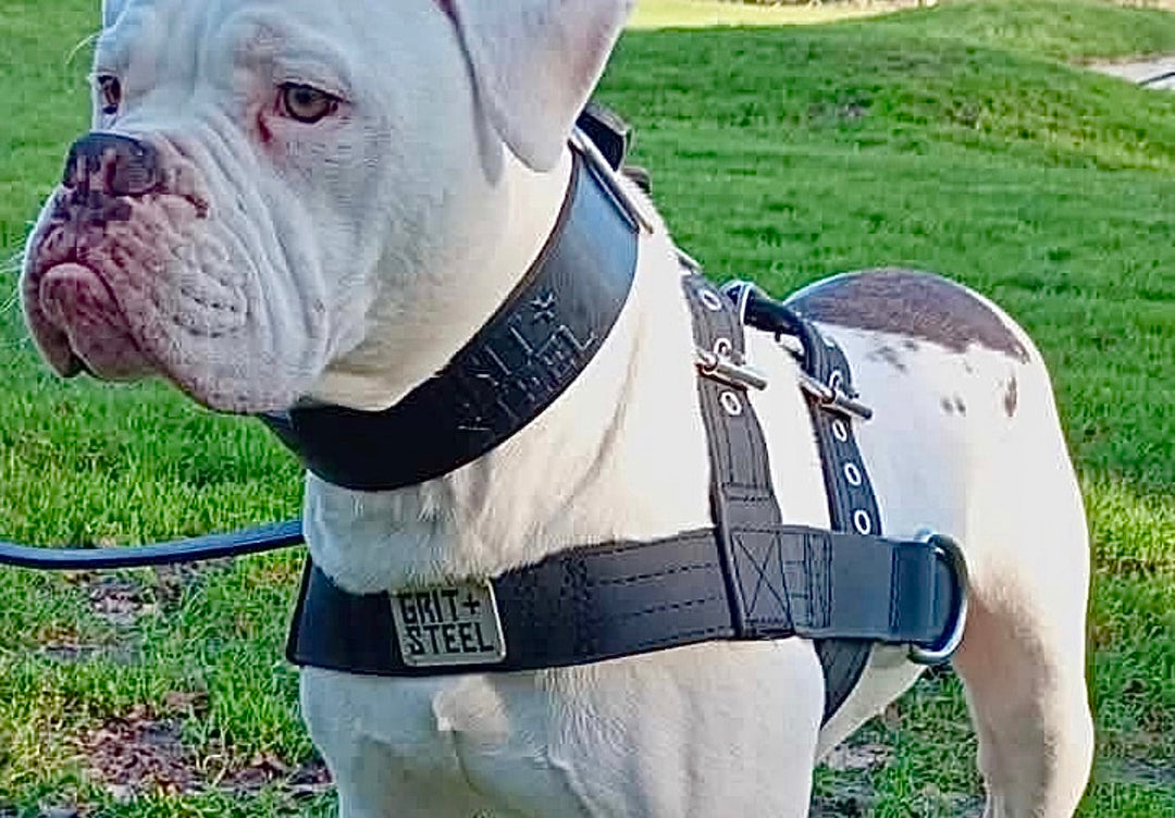 Ultra-Grit Harness