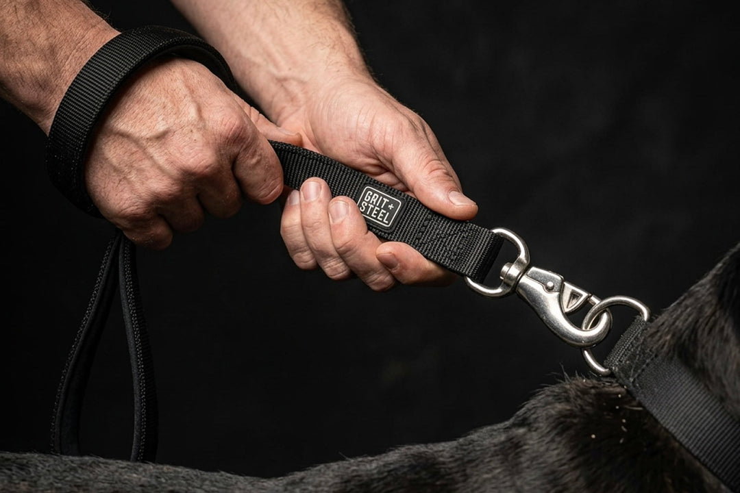 Nypro Leash