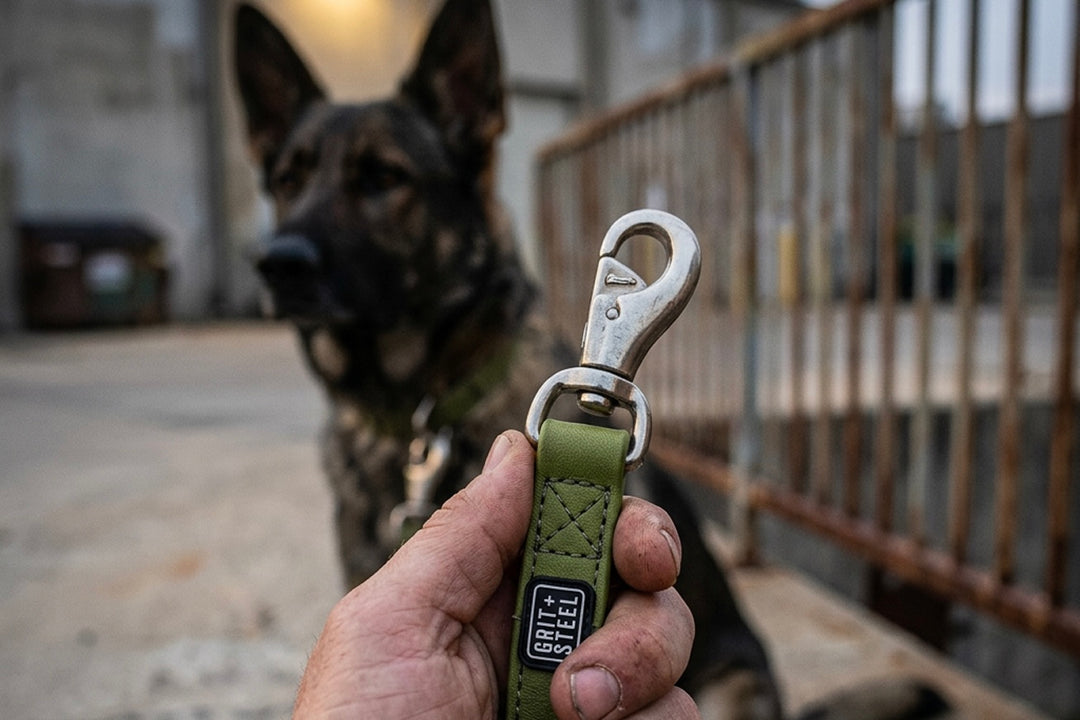Ultra-Grit Leash