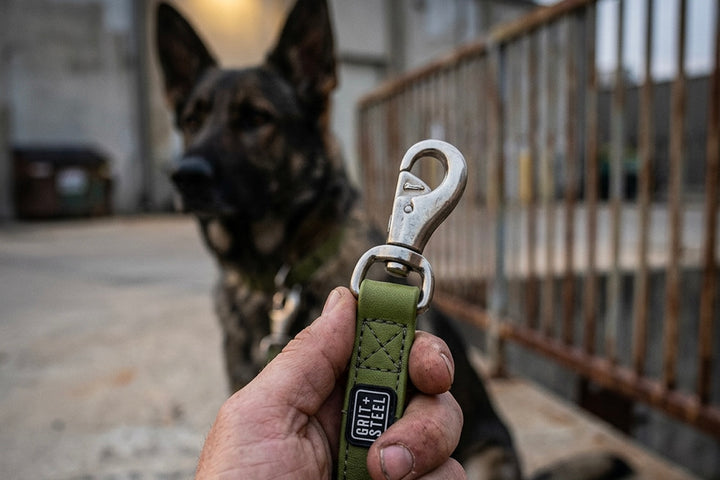 Ultra-Grit Leash