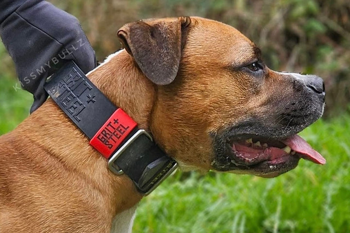 2 Inch Ever-Grit Collar