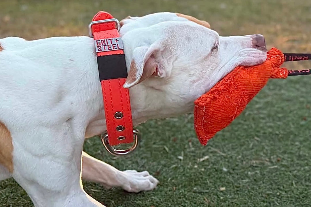 1.5 Inch Ultra-Grit Collar