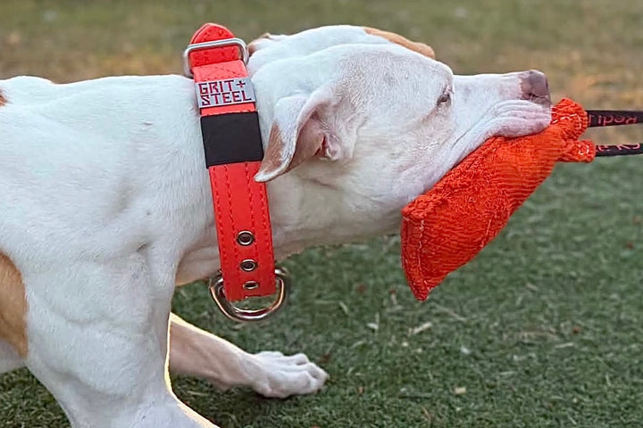 1.5 Inch Ultra-Grit Collar